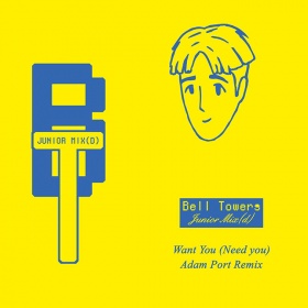 BELL TOWERS - WANT YOU ( NEED YOU ) (ADAM PORT REMIX)